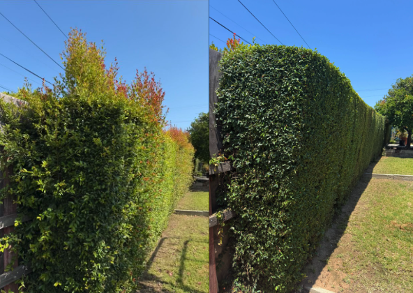 Before and after cleanup
